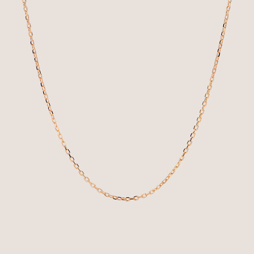 Fine Edge Cable Chain Necklace